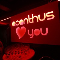 Valentine 2016 - Fotos - Acanthus