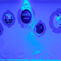 White 2018 - Photos - Acanthus