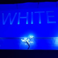 White 2018 - Fotos - Acanthus