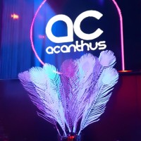 Chocolate 2018 - Photos - Acanthus