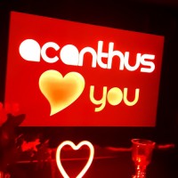 Valentine 2019 - Photos - Acanthus