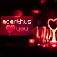 Valentine 2020 - Photos - Acanthus