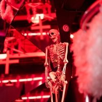 Clinic 2022 - Photos - Acanthus