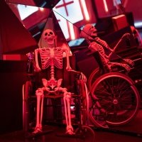 Clinic 2022 - Photos - Acanthus