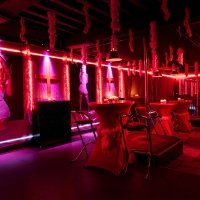 Clinic 2022 - Photos - Acanthus
