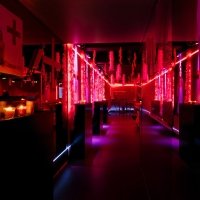 Clinic 2022 - Photos - Acanthus