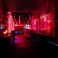 Clinic 2022 - Photos - Acanthus