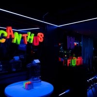 Fluo 2022 - Photos - Acanthus
