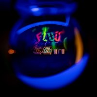 Fluo 2022 - Photos - Acanthus