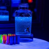 Fluo 2022 - Photos - Acanthus