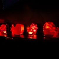 Valentine 2022 - Photos - Acanthus