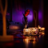 Valentine 2022 - Photos - Acanthus