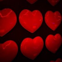 Valentine 2022 - Photos - Acanthus