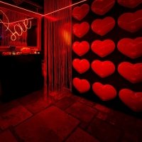 Valentine 2022 - Photos - Acanthus