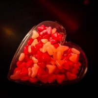 Valentine 2022 - Photos - Acanthus