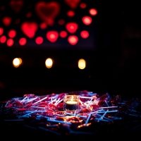 Valentine 2022 - Photos - Acanthus