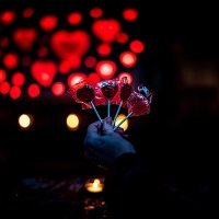 Valentine 2022 - Photos - Acanthus