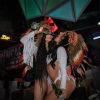 Coyote 2022 - Photos - Acanthus