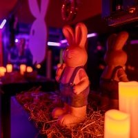 Playboy 2022 - Photos - Acanthus