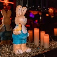 Playboy 2022 - Photos - Acanthus