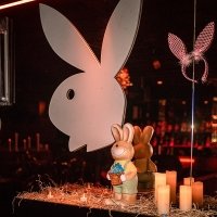 Playboy 2022 - Photos - Acanthus