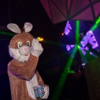Playboy 2022 - Photos - Acanthus