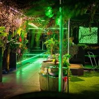 Tropical 2022 - Photos - Acanthus