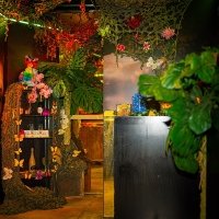 Tropical 2022 - Photos - Acanthus