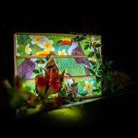 Tropical 2022 - Photos - Acanthus