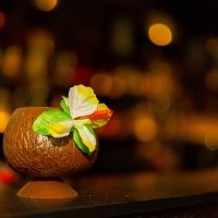 Tropical 2022 - Photos - Acanthus