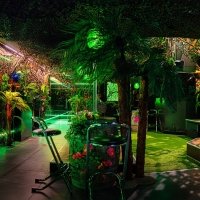 Tropical 2022 - Photos - Acanthus