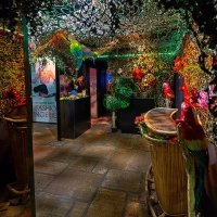 Tropical 2022 - Photos - Acanthus