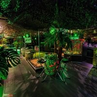 Tropical 2022 - Photos - Acanthus