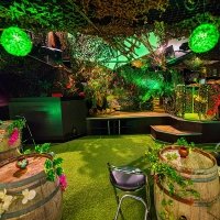 Tropical 2022 - Photos - Acanthus