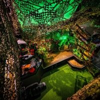 Tropical 2022 - Photos - Acanthus
