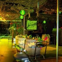 Tropical 2022 - Photos - Acanthus