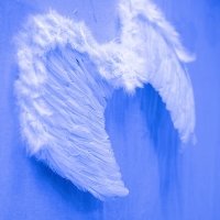 White 2022 - Photos - Acanthus