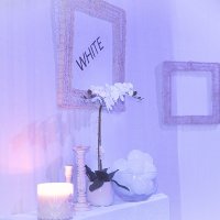 White 2022 - Photos - Acanthus