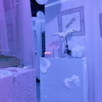 White 2022 - Photos - Acanthus