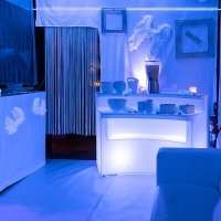 White 2022 - Photos - Acanthus