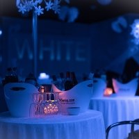White 2022 - Photos - Acanthus