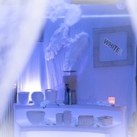 White 2022 - Photos - Acanthus