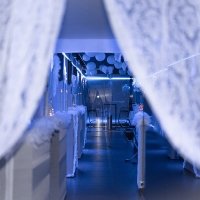 White 2022 - Photos - Acanthus