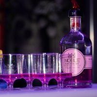 Gin Tonic 2022 - Photos - Acanthus