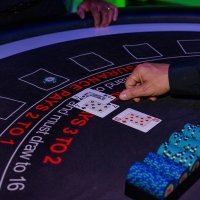 Casino 2022 - Fotos - Acanthus