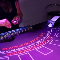 Casino 2022 - Fotos - Acanthus