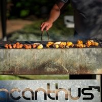 H2o 2022 - Photos - Acanthus