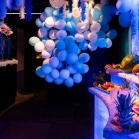 H2o 2022 - Photos - Acanthus