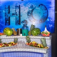 H2o 2022 - Photos - Acanthus