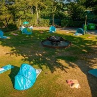 Flower Power 2022 - Photos - Acanthus